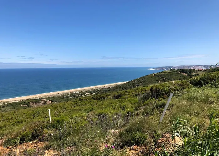 Bela Baia * Salir de Porto